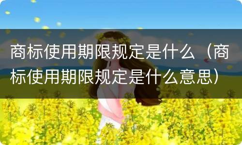 商标使用期限规定是什么（商标使用期限规定是什么意思）
