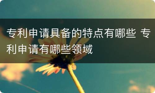 专利申请具备的特点有哪些 专利申请有哪些领域