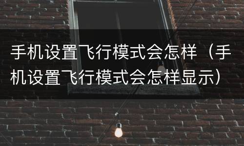 手机设置飞行模式会怎样（手机设置飞行模式会怎样显示）