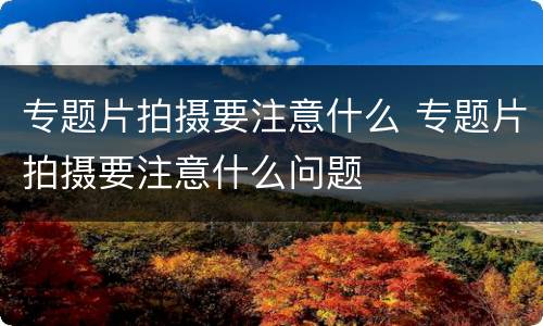 专题片拍摄要注意什么 专题片拍摄要注意什么问题