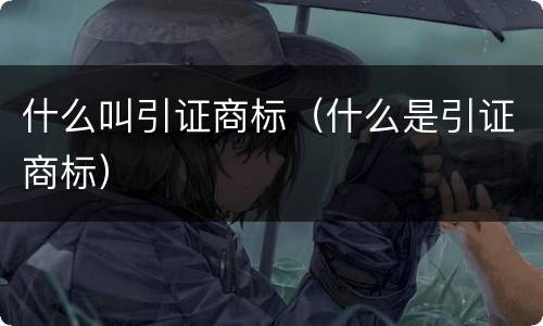 什么叫引证商标（什么是引证商标）