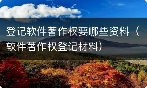 登记软件著作权要哪些资料（软件著作权登记材料）