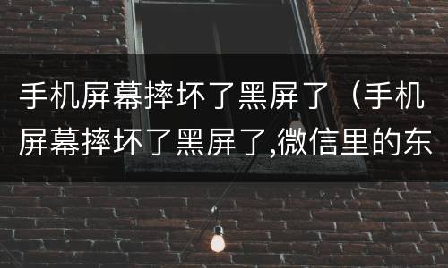 手机屏幕摔坏了黑屏了（手机屏幕摔坏了黑屏了,微信里的东西还有吗）
