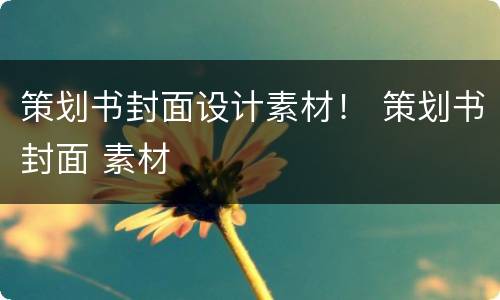 策划书封面设计素材！ 策划书封面 素材