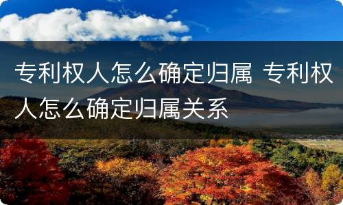 专利权人怎么确定归属 专利权人怎么确定归属关系
