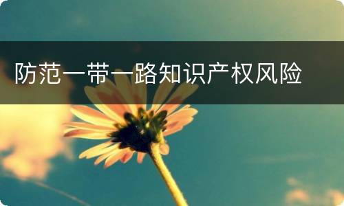 防范一带一路知识产权风险