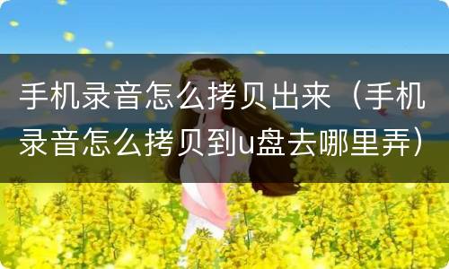 手机录音怎么拷贝出来（手机录音怎么拷贝到u盘去哪里弄）