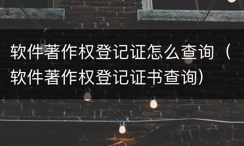 软件著作权登记证怎么查询（软件著作权登记证书查询）