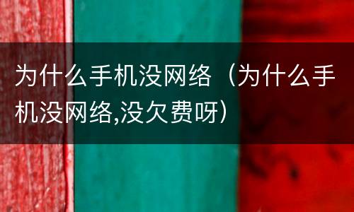 为什么手机没网络（为什么手机没网络,没欠费呀）