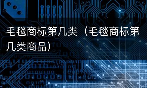 毛毯商标第几类（毛毯商标第几类商品）