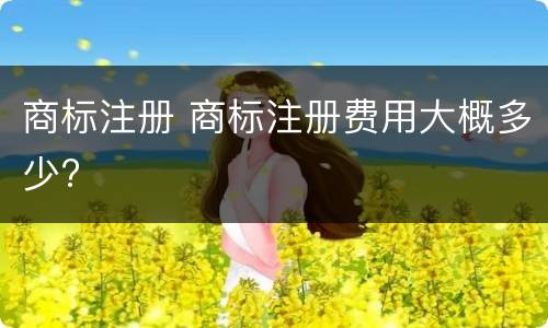 商标注册 商标注册费用大概多少?