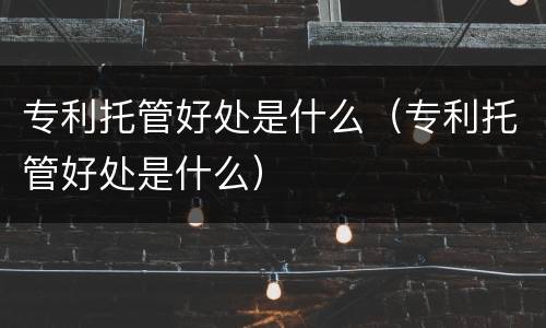 专利托管好处是什么（专利托管好处是什么）
