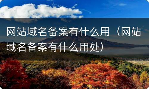 网站域名备案有什么用（网站域名备案有什么用处）