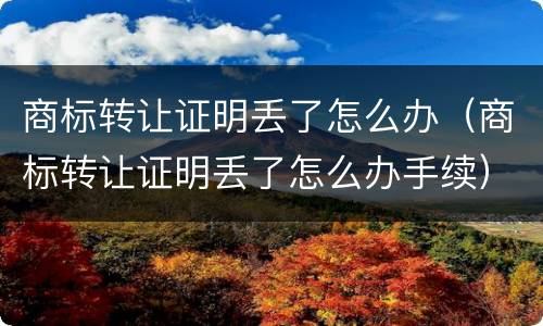 商标转让证明丢了怎么办（商标转让证明丢了怎么办手续）