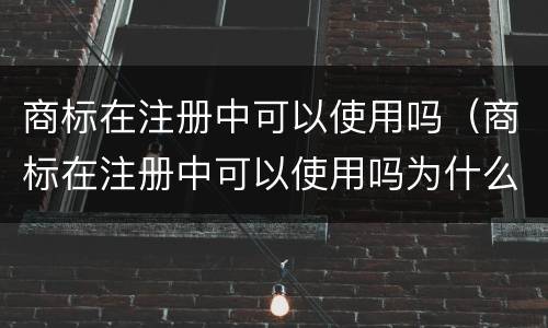 商标在注册中可以使用吗（商标在注册中可以使用吗为什么）