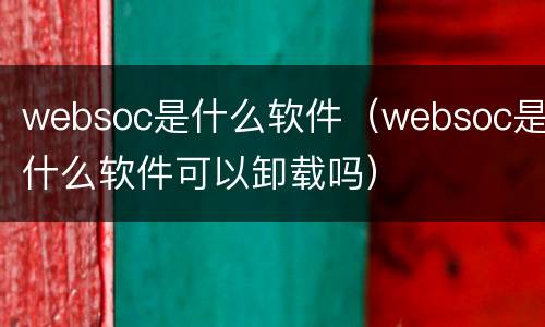 websoc是什么软件（websoc是什么软件可以卸载吗）