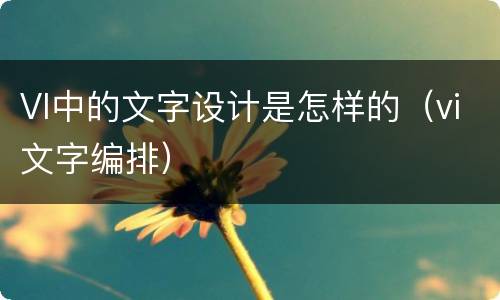 VI中的文字设计是怎样的（vi文字编排）