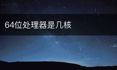 64位处理器是几核