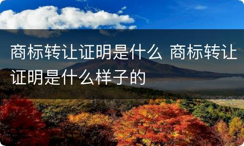 商标转让证明是什么 商标转让证明是什么样子的