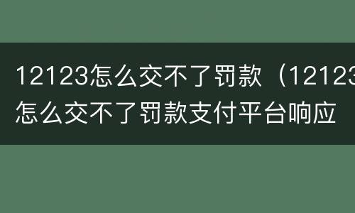 12123怎么交不了罚款（12123怎么交不了罚款支付平台响应为空）