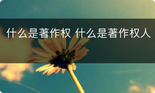 什么是著作权 什么是著作权人