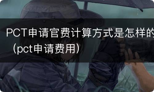 PCT申请官费计算方式是怎样的（pct申请费用）