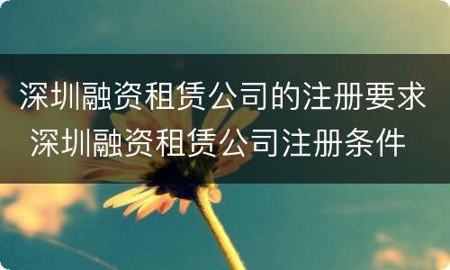 深圳融资租赁公司的注册要求 深圳融资租赁公司注册条件