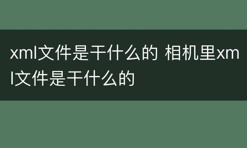 xml文件是干什么的 相机里xml文件是干什么的