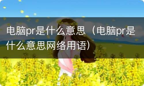 电脑pr是什么意思（电脑pr是什么意思网络用语）