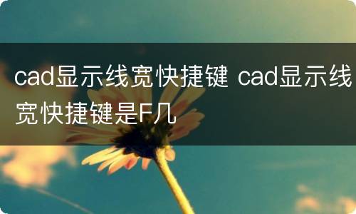 cad显示线宽快捷键 cad显示线宽快捷键是F几