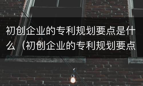 初创企业的专利规划要点是什么（初创企业的专利规划要点是什么内容）