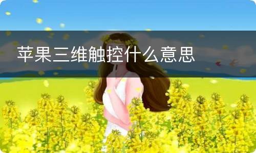  苹果三维触控什么意思