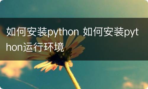 如何安装python 如何安装python运行环境