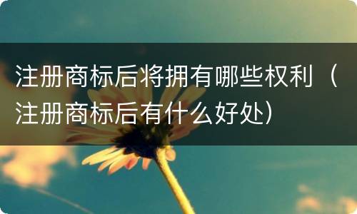 注册商标后将拥有哪些权利（注册商标后有什么好处）