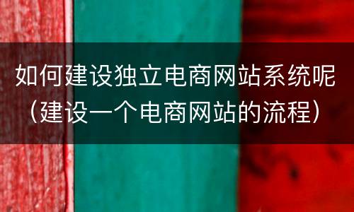 如何建设独立电商网站系统呢（建设一个电商网站的流程）