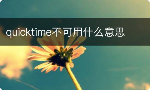 quicktime不可用什么意思
