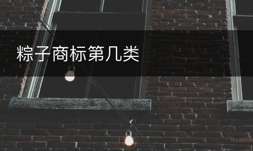  粽子商标第几类