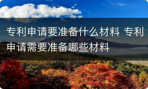专利申请要准备什么材料 专利申请需要准备哪些材料