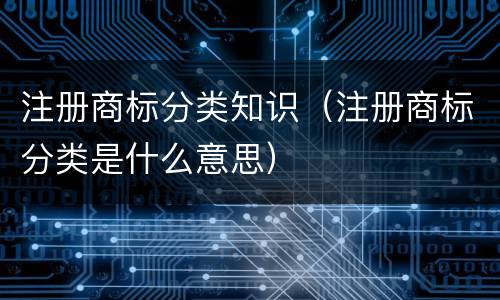 注册商标分类知识（注册商标分类是什么意思）