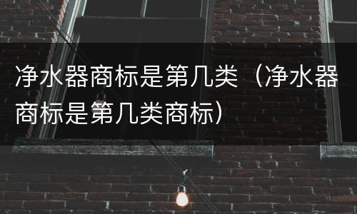 净水器商标是第几类（净水器商标是第几类商标）