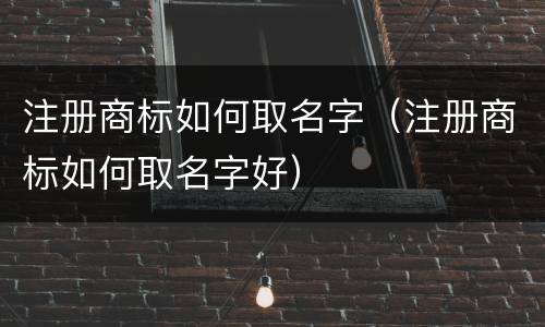 注册商标如何取名字（注册商标如何取名字好）