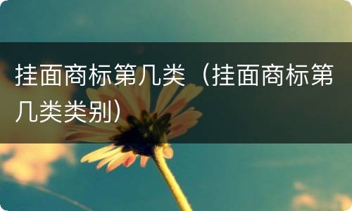挂面商标第几类（挂面商标第几类类别）