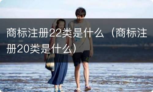 商标注册22类是什么（商标注册20类是什么）