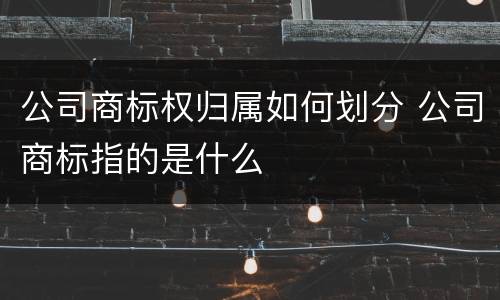 公司商标权归属如何划分 公司商标指的是什么