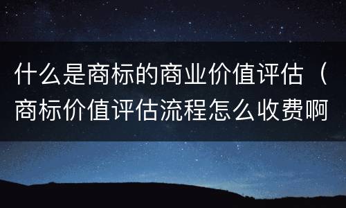 什么是商标的商业价值评估（商标价值评估流程怎么收费啊）