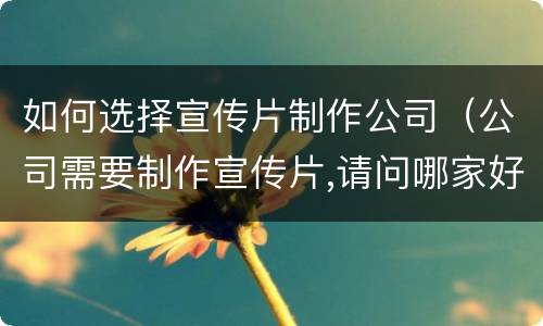 如何选择宣传片制作公司（公司需要制作宣传片,请问哪家好）