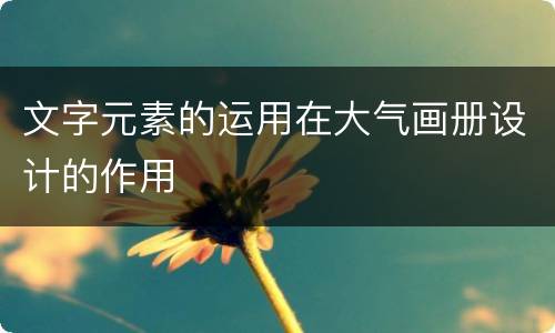 文字元素的运用在大气画册设计的作用