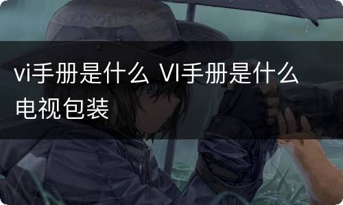 vi手册是什么 VI手册是什么 电视包装