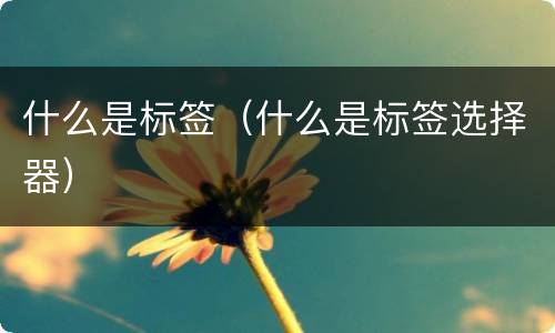 什么是标签（什么是标签选择器）