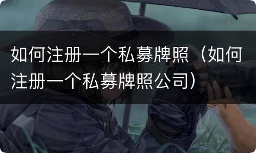 如何注册一个私募牌照（如何注册一个私募牌照公司）